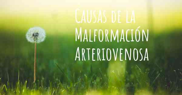 Causas de la Malformación Arteriovenosa