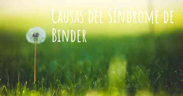 Causas del Síndrome de Binder