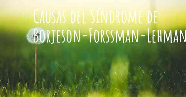 Causas del Síndrome de Borjeson-Forssman-Lehmann