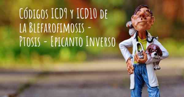 Códigos ICD9 y ICD10 de la Blefarofimosis - Ptosis - Epicanto Inverso