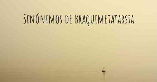 Sinónimos de Braquimetatarsia