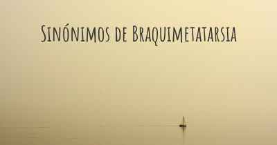 Sinónimos de Braquimetatarsia