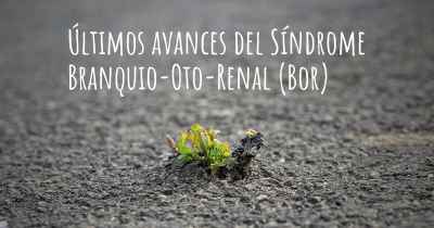 Últimos avances del Síndrome Branquio-Oto-Renal (Bor)