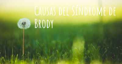 Causas del Síndrome de Brody