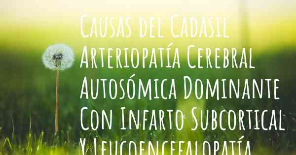 Causas del Cadasil Arteriopatía Cerebral Autosómica Dominante Con Infarto Subcortical Y Leucoencefalopatía