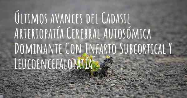 Últimos avances del Cadasil Arteriopatía Cerebral Autosómica Dominante Con Infarto Subcortical Y Leucoencefalopatía