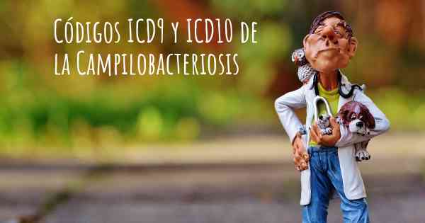 Códigos ICD9 y ICD10 de la Campilobacteriosis