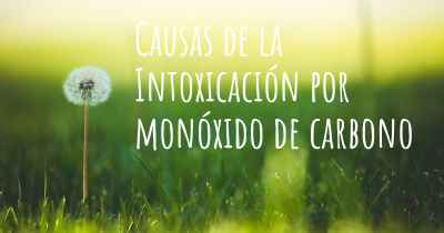 Causas de la Intoxicación por monóxido de carbono