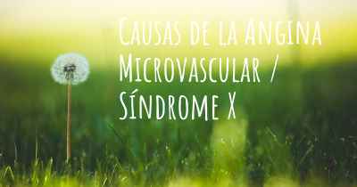 Causas de la Angina Microvascular / Síndrome X