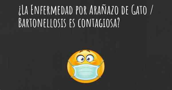 ¿La Enfermedad por Arañazo de Gato / Bartonellosis es contagiosa?