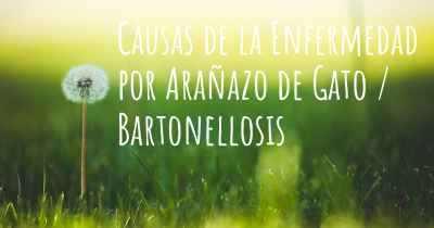 Causas de la Enfermedad por Arañazo de Gato / Bartonellosis