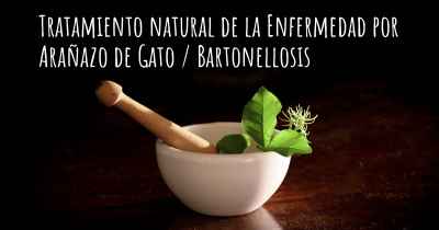 Tratamiento natural de la Enfermedad por Arañazo de Gato / Bartonellosis