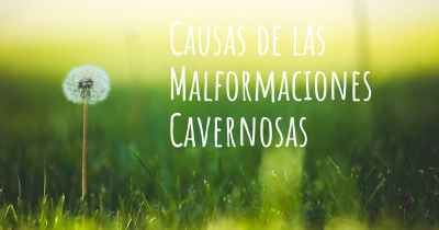 Causas de las Malformaciones Cavernosas