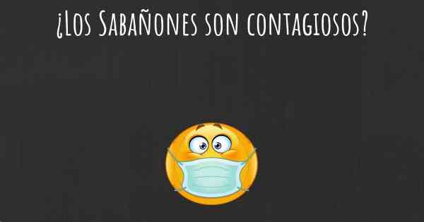 ¿Los Sabañones son contagiosos?