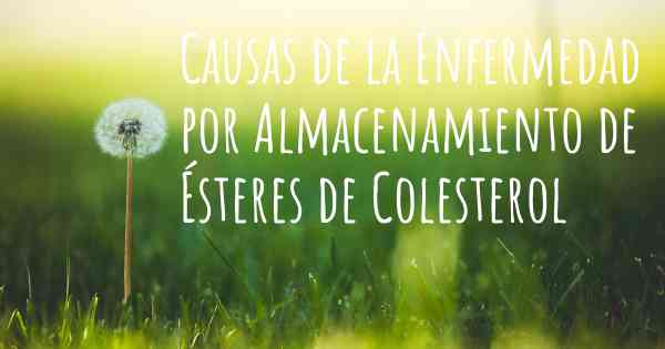 Causas de la Enfermedad por Almacenamiento de Ésteres de Colesterol