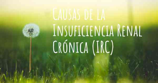 Causas de la Insuficiencia Renal Crónica (IRC)