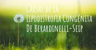 Causas de la Lipodistrofia Congénita De Berardinelli-Seip