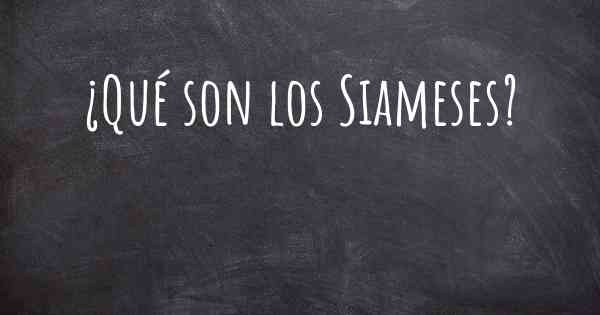 ¿Qué son los Siameses?