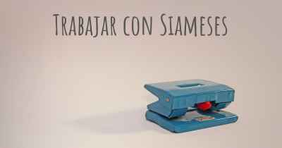 Trabajar con Siameses