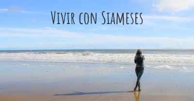 Vivir con Siameses