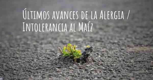 Últimos avances de la Alergia / Intolerancia al Maíz