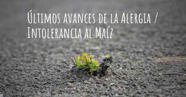 Últimos avances de la Alergia / Intolerancia al Maíz