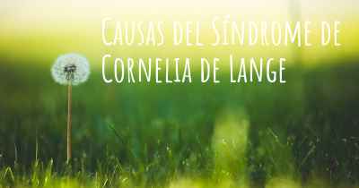 Causas del Síndrome de Cornelia de Lange