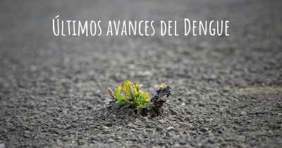 Últimos avances del Dengue