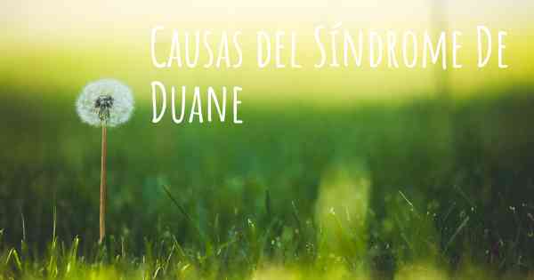 Causas del Síndrome De Duane