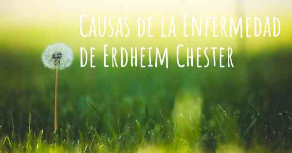 Causas de la Enfermedad de Erdheim Chester