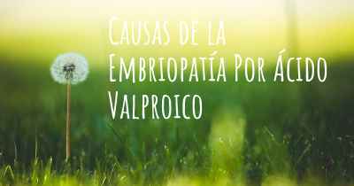 Causas de la Embriopatía Por Ácido Valproico