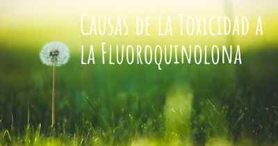 Causas de la Toxicidad a la Fluoroquinolona