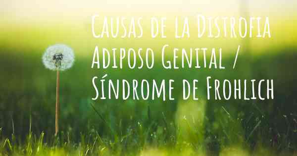 Causas de la Distrofia Adiposo Genital / Síndrome de Frohlich