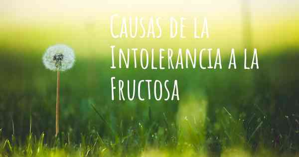 Causas de la Intolerancia a la Fructosa