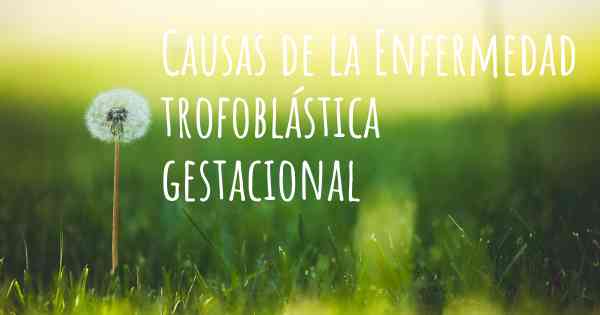 Causas de la Enfermedad trofoblástica gestacional