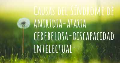 Causas del Síndrome de aniridia-ataxia cerebelosa-discapacidad intelectual