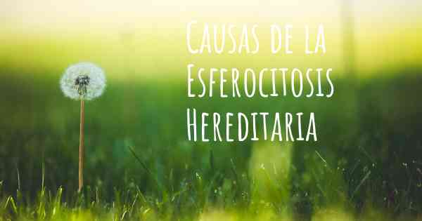 Causas de la Esferocitosis Hereditaria