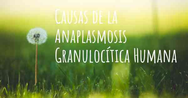 Causas de la Anaplasmosis Granulocítica Humana