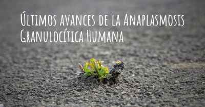 Últimos avances de la Anaplasmosis Granulocítica Humana