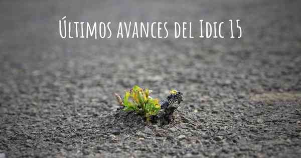 Últimos avances del Idic 15