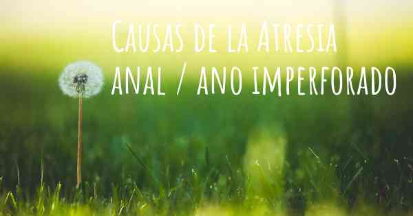 Causas de la Atresia anal / ano imperforado