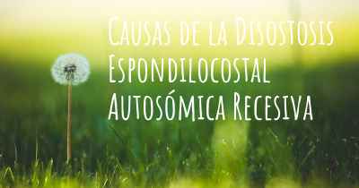 Causas de la Disostosis Espondilocostal Autosómica Recesiva