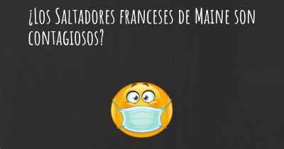 ¿Los Saltadores franceses de Maine son contagiosos?