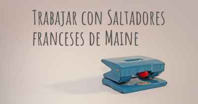 Trabajar con Saltadores franceses de Maine