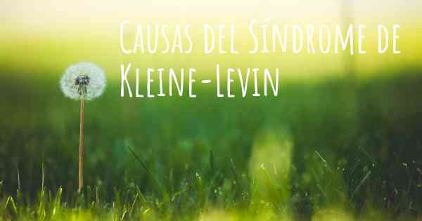 Causas del Síndrome de Kleine-Levin
