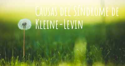 Causas del Síndrome de Kleine-Levin