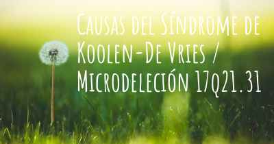 Causas del Síndrome de Koolen-De Vries / Microdeleción 17q21.31