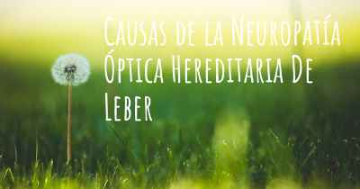 Causas de la Neuropatía Óptica Hereditaria De Leber