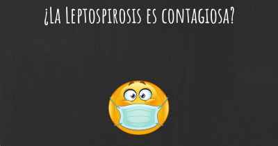 ¿La Leptospirosis es contagiosa?