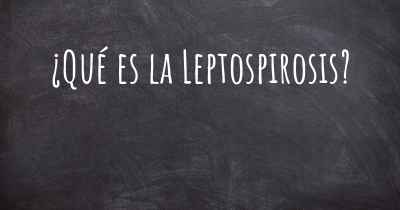 ¿Qué es la Leptospirosis?